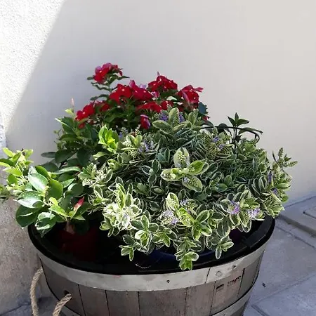 Bed & Breakfast L'arco Fiorito San Gregorio (L'Aquila)