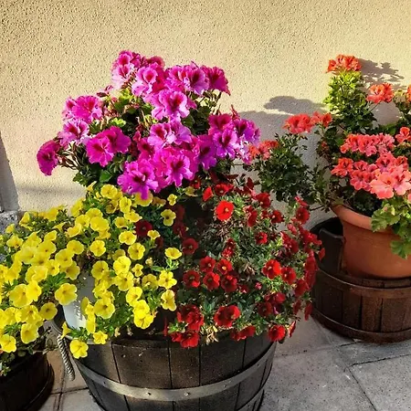 L'arco Fiorito Bed & Breakfast *