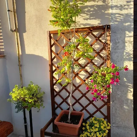 L'arco Fiorito * San Gregorio (L'Aquila)